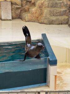 数年ぶりの水族館