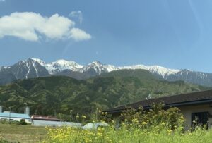 【長野の美しい森に学ぶ】癒しの森へ